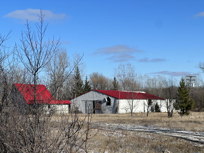 Kings Animaland Park - Dec 19 2023 (newer photo)